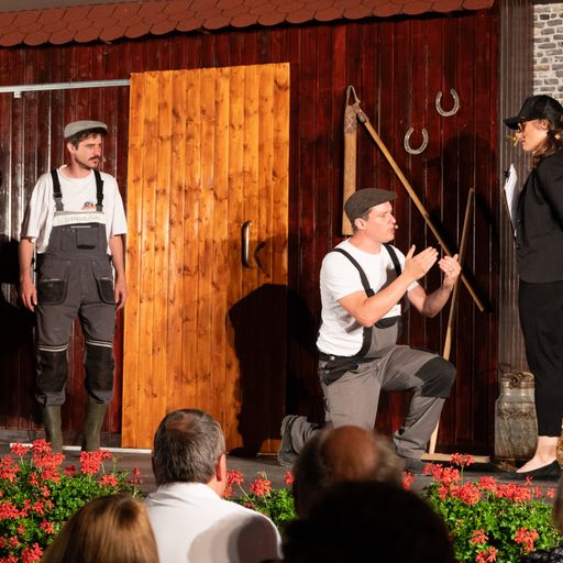 Ein Hof voller Narren – Bild 12
